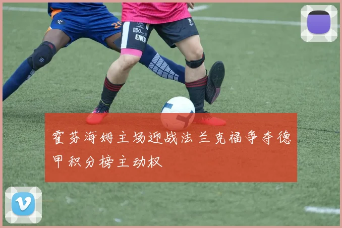 霍芬海姆主场迎战法兰克福争夺德甲积分榜主动权