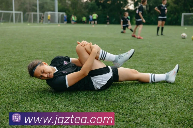 九游体育娱乐最新网站平台生态图